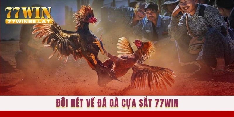 Đôi nét về đá gà cựa sắt 77win