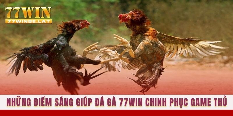 Những điểm sáng giúp Đá gà 77win chinh phục game thủ