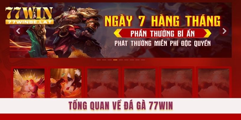 Tổng quan về Đá gà 77win