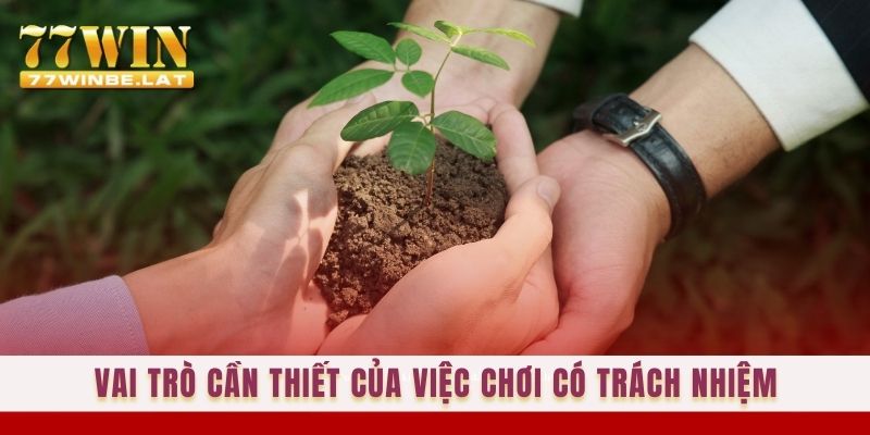 Vai trò cần thiết của việc chơi có trách nhiệm